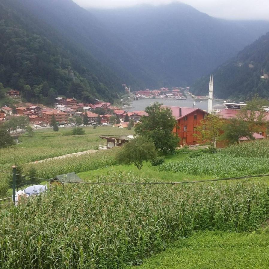 Апарт отель Zeren Bungalov Узунгель Экстерьер фото